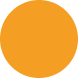 Home Ellipse Icon